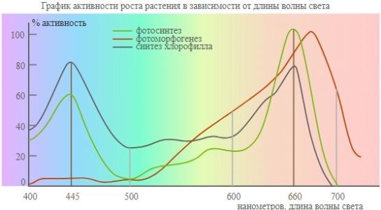 спектры освещение для марихуаны спектры освещение для марихуаны