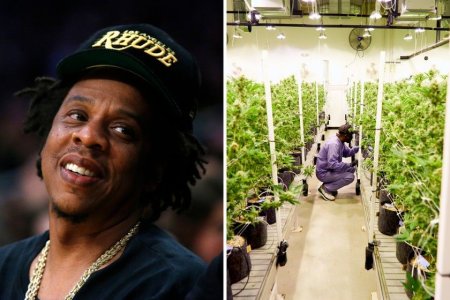 jay z.jpg jay z.jpg