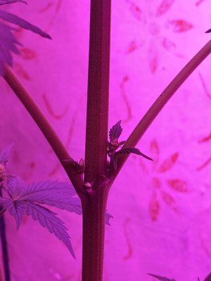 IMG_0057.jpeg
