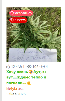 1740991185196.png