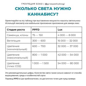 Сколько света.jpg