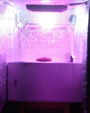 IMG_20220419_084258.jpg