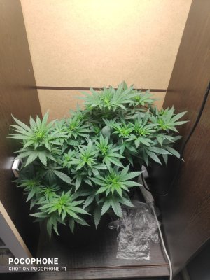 11.06.2025.jpg