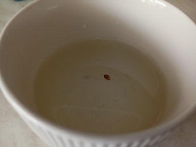 1000077633.jpg