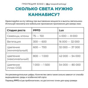 1000018042.jpg 1000018042.jpg