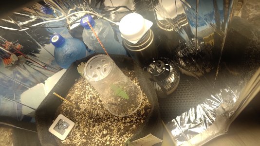 P_20250718_232539.jpg