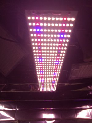 IMG_20250801_075045.jpg