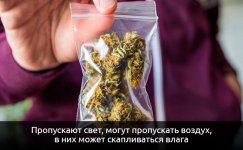 Ne-ispolzujte-plastikovye-pakety__5JtBQz4FmXlaUmNX.jpg Ne-ispolzujte-plastikovye-pakety__5JtBQz4FmXlaUmNX.jpg