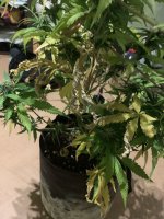 IMG_7948.jpeg
