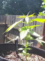 IMG_20250808_132838.jpg