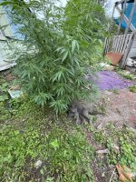 IMG_0326.jpeg