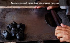 izgotovlenie-tradicionnogo-gashisha__EisZOLbQ6gU71fI0.jpg izgotovlenie-tradicionnogo-gashisha__EisZOLbQ6gU71fI0.jpg