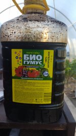 IMG_20250829_074909.jpg