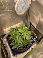 IMG_8457.jpeg