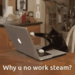 cat-computer.gif
