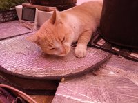 IMG_20250913_094832.jpg