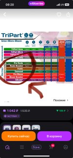 IMG_0539.jpeg