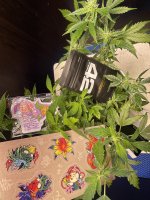 IMG_1369.jpeg