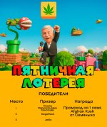 lottery-septe,.jpg