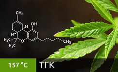 THC__KZGEsMp5VbxIyGJM.jpg THC__KZGEsMp5VbxIyGJM.jpg