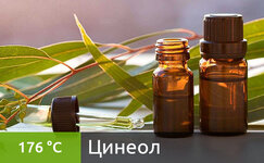 cineol__bfqEaou6Hzp7rMf1.jpg cineol__bfqEaou6Hzp7rMf1.jpg