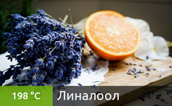 linalool__TQnMHEuTMVGVnt9q.jpg linalool__TQnMHEuTMVGVnt9q.jpg