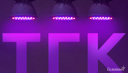 vliyanie-sveta-na-raspad-tgk-konopli__TesDHEDIhwgVmHxi.jpg vliyanie-sveta-na-raspad-tgk-konopli__TesDHEDIhwgVmHxi.jpg