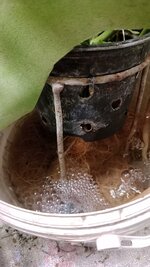 IMG_20250929_013220.jpg