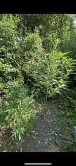 IMG_8430.png