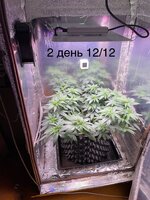 IMG_1314.jpeg IMG_1314.jpeg
