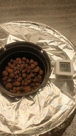 IMG_20251030_215407_337.jpg