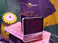 IMG_20251119_072453.jpg