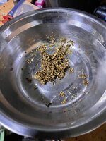 IMG_1693.jpeg