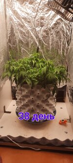 20251126_153821.jpg