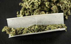 chistyj-opyt-ispolzovaniya-kannabisa__SRPAyYnyTigdxAqJ.jpg chistyj-opyt-ispolzovaniya-kannabisa__SRPAyYnyTigdxAqJ.jpg
