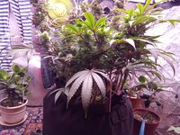 IMG_20250427_113841.jpg