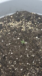 IMG_5969.jpeg