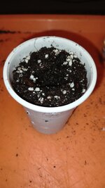 IMG_20251211_163306_861.jpg