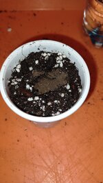 IMG_20251211_163330_728.jpg