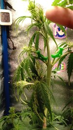 IMG_20251213_101908_803.jpg