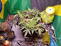 IMG_20251218_072639.jpg