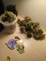 IMG_20251217_223716_071.jpg