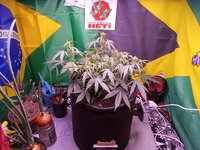 IMG_20251222_070754.jpg