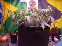 IMG_20251222_080611.jpg