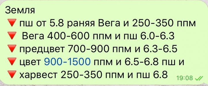 0AA2CA18-E280-41B4-B67A-291838C1BC41.jpeg