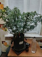 IMG_20251223_185744.jpg