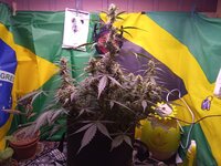 IMG_20260107_045813.jpg