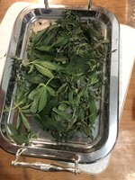 IMG_2643.jpeg IMG_2643.jpeg