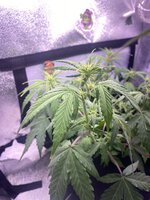 IMG_5113.jpeg