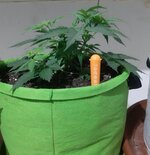 20260120_074332.jpg